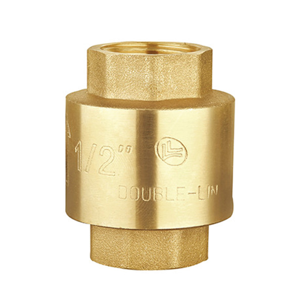 Check Valve 1 1-2  inch Spring Type Double-Lin